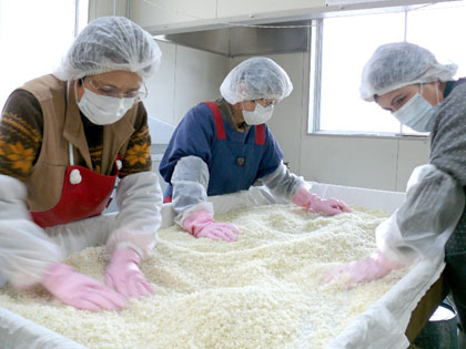 みそ造りで米麹の切り返しをする「和田農産物加工グループ」のメンバー