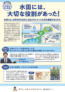 画像：ファイルプレビュー