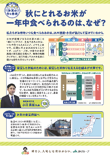 画像：ファイルプレビュー